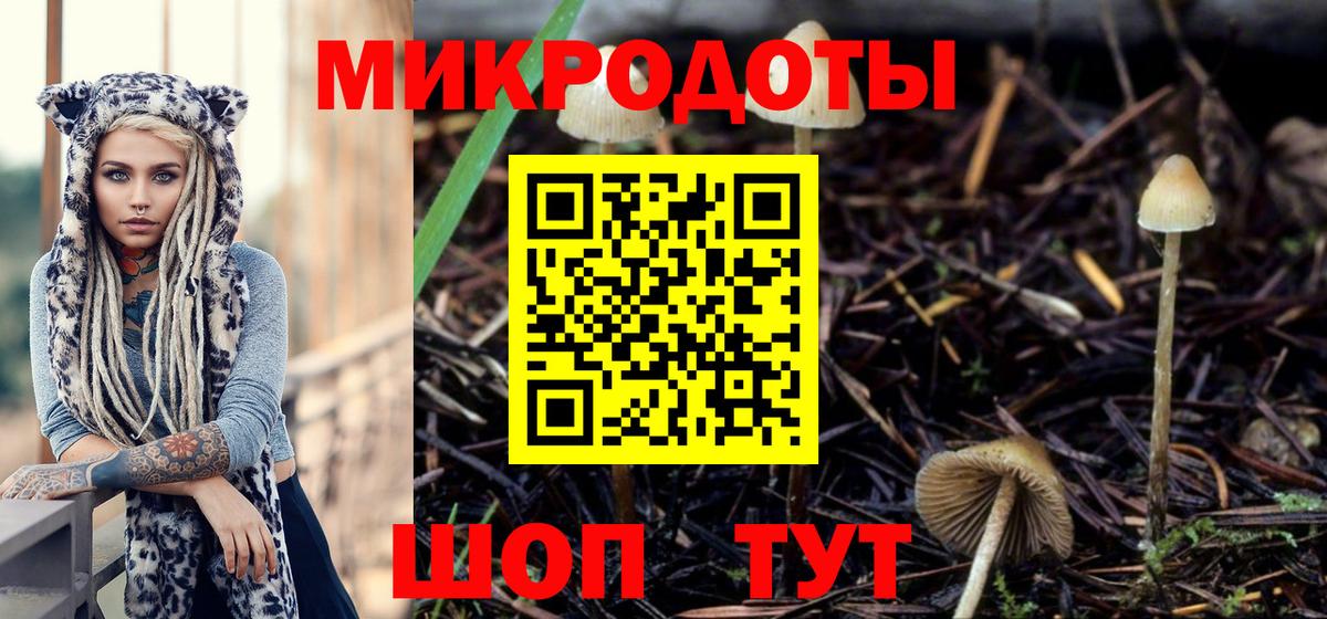 Псилоцибиновые грибы мицелий Сарапул